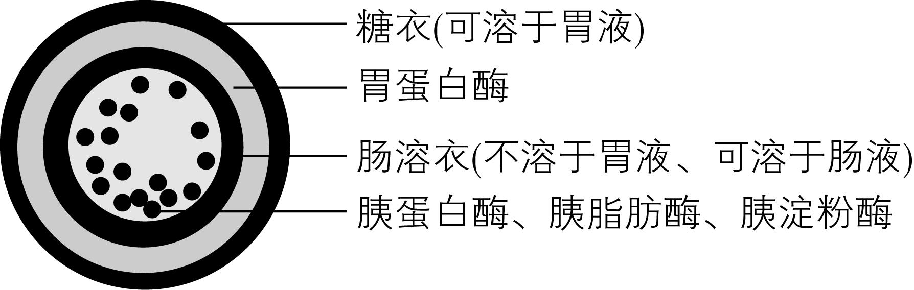 试题资源网 https://stzy.com