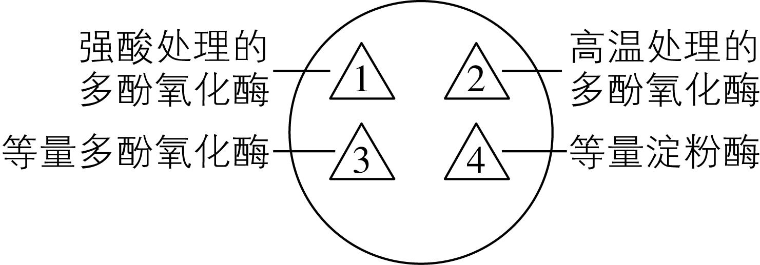 试题资源网 https://stzy.com