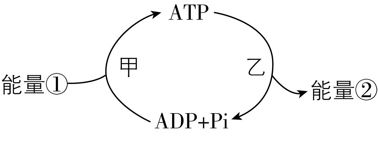 试题资源网 https://stzy.com