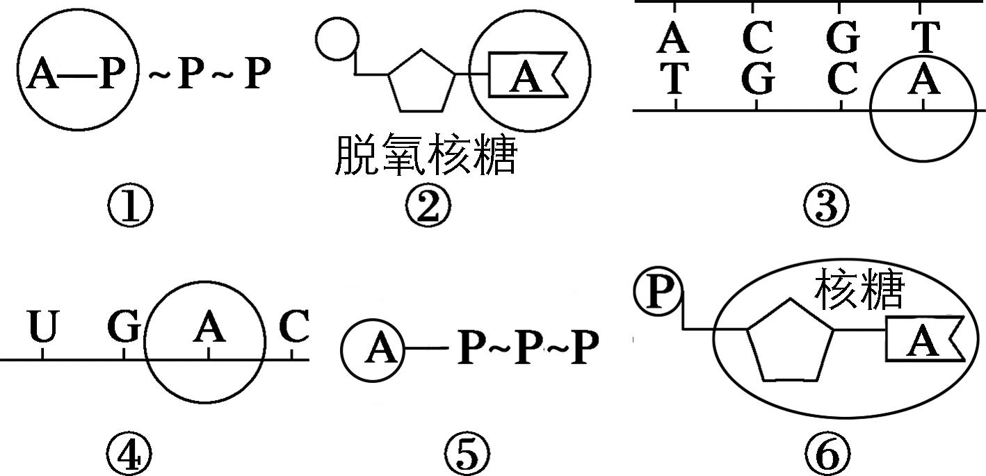 试题资源网 https://stzy.com
