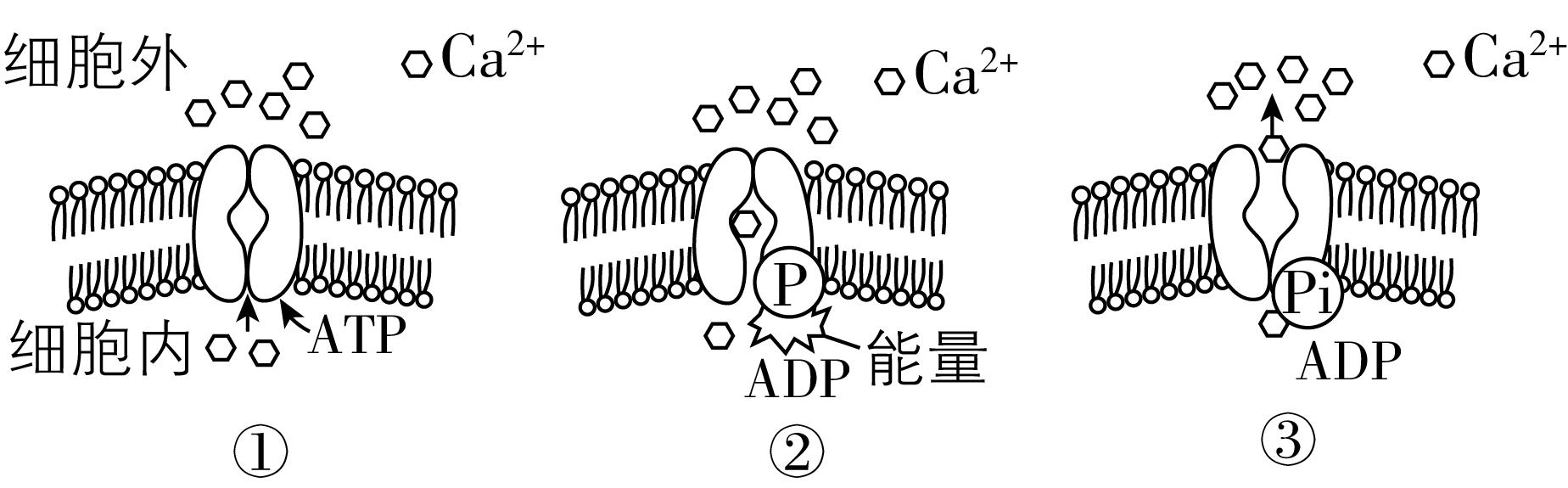 试题资源网 https://stzy.com