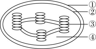 试题资源网 https://stzy.com