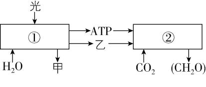 试题资源网 https://stzy.com