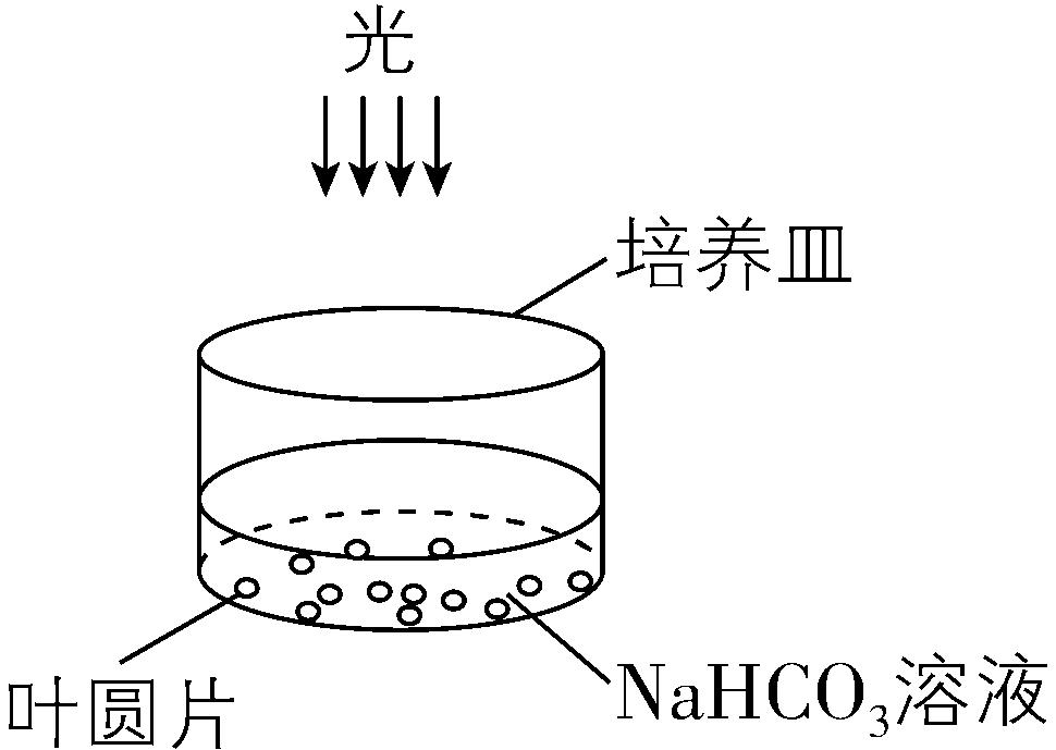 试题资源网 https://stzy.com