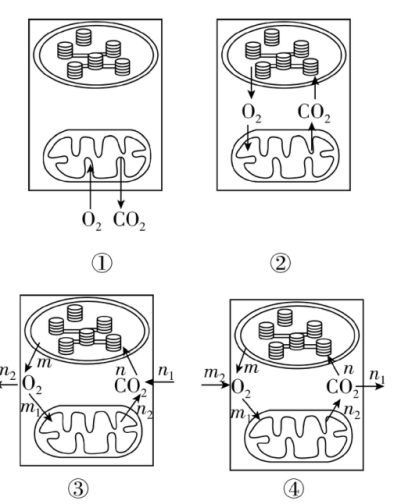 试题资源网 https://stzy.com