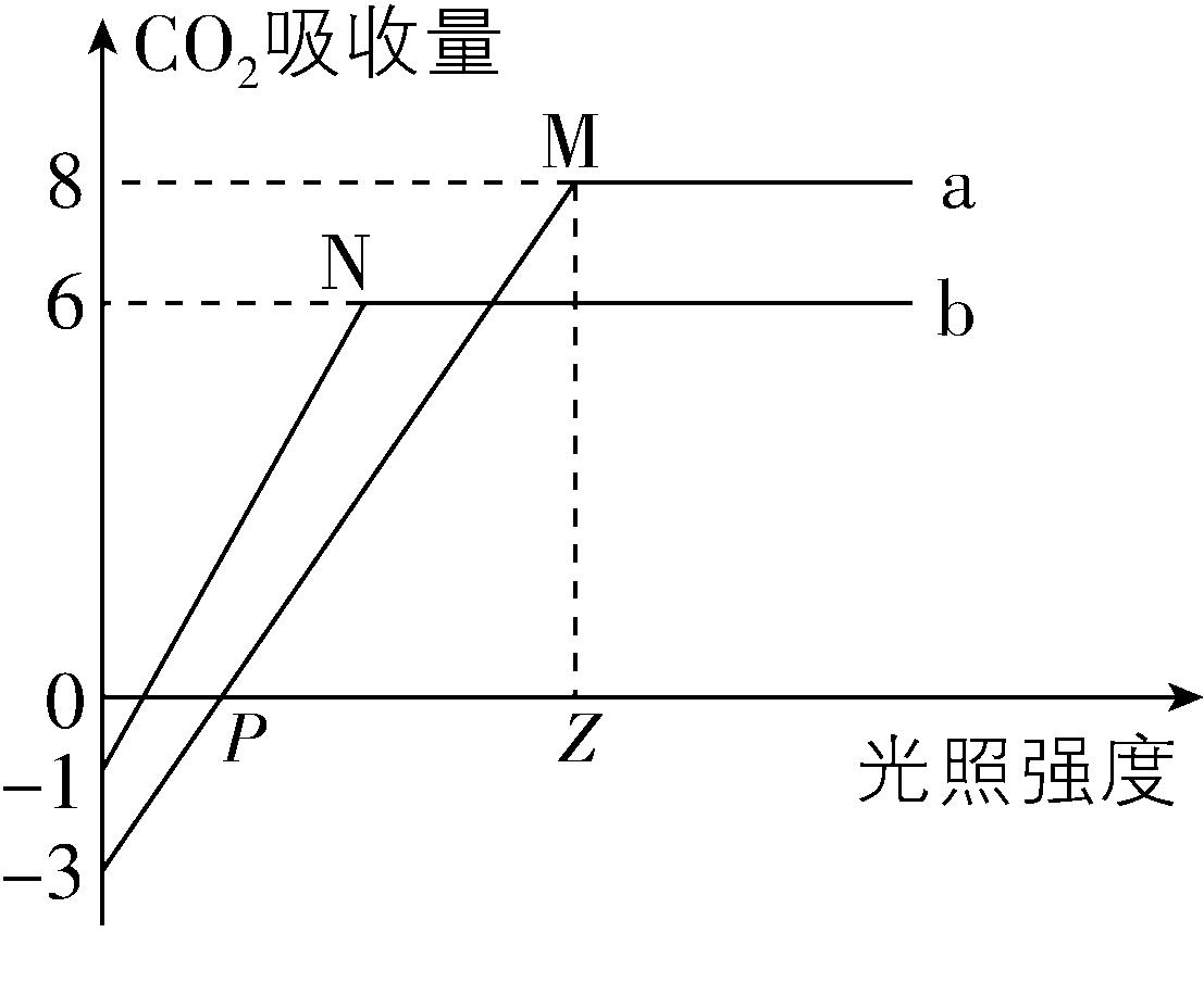 试题资源网 https://stzy.com