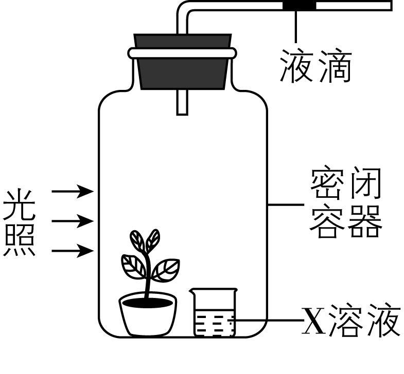试题资源网 https://stzy.com