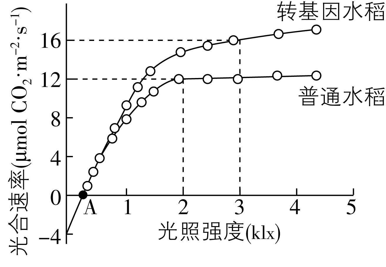 试题资源网 https://stzy.com