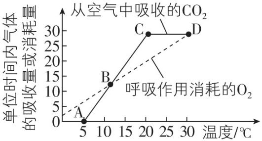 试题资源网 https://stzy.com