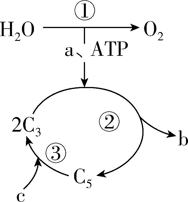试题资源网 https://stzy.com