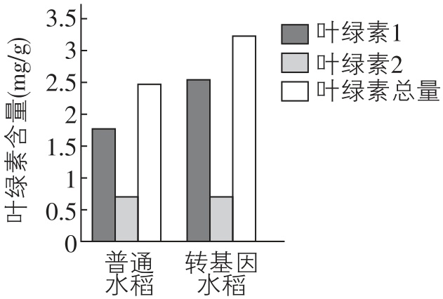 试题资源网 https://stzy.com
