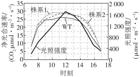 试题资源网 https://stzy.com