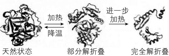 试题资源网 https://stzy.com