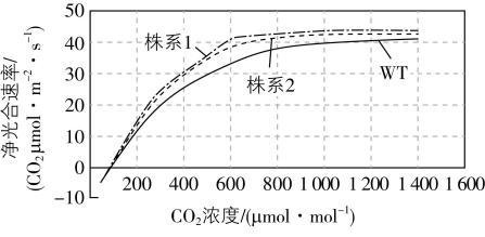 试题资源网 https://stzy.com