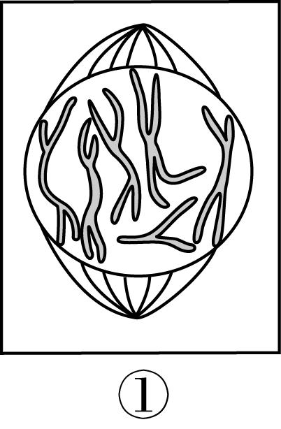 试题资源网 https://stzy.com