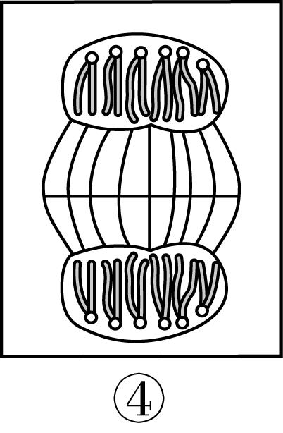 试题资源网 https://stzy.com