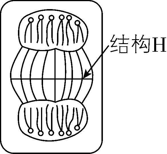 试题资源网 https://stzy.com