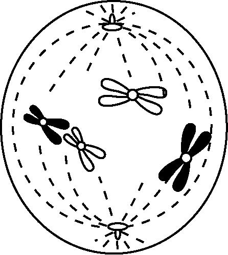 试题资源网 https://stzy.com