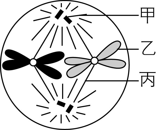 试题资源网 https://stzy.com