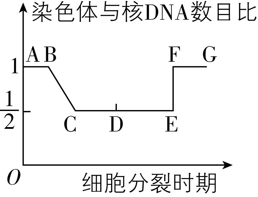 试题资源网 https://stzy.com