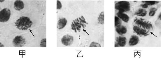 试题资源网 https://stzy.com