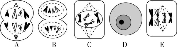 试题资源网 https://stzy.com