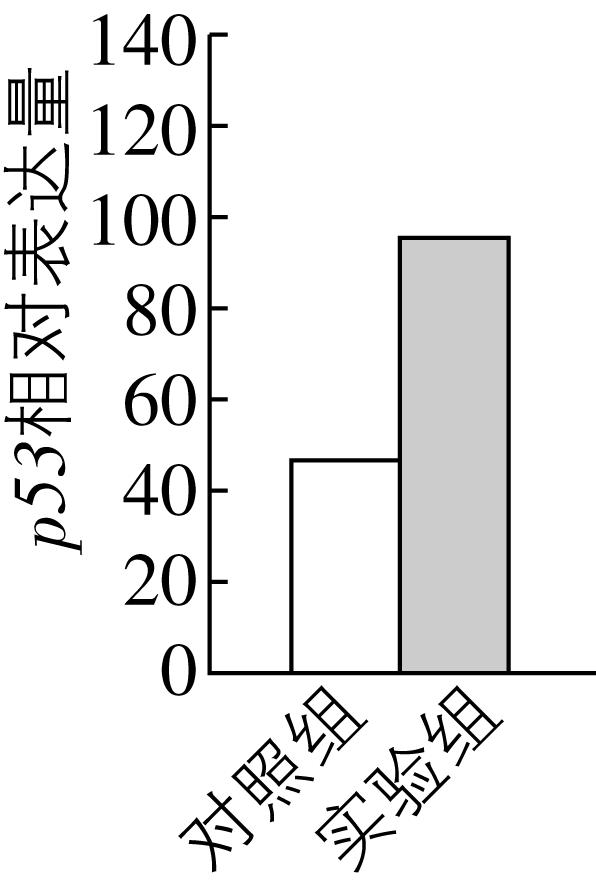 试题资源网 https://stzy.com