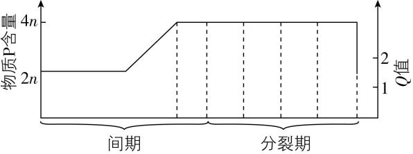试题资源网 https://stzy.com