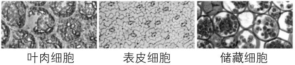 试题资源网 https://stzy.com