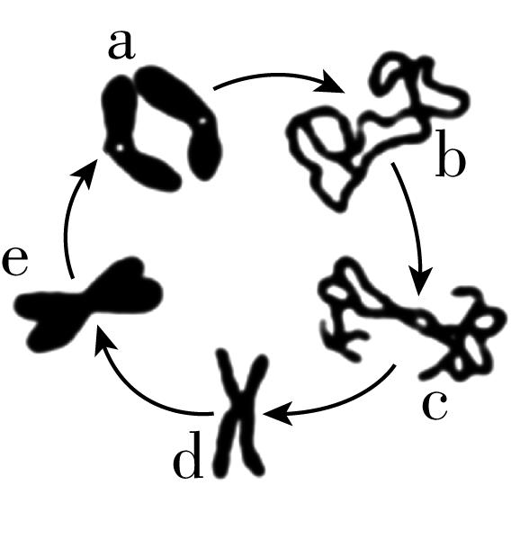 试题资源网 https://stzy.com