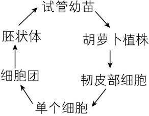 试题资源网 https://stzy.com