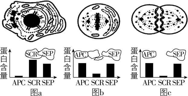 试题资源网 https://stzy.com