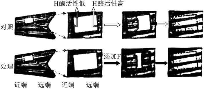 试题资源网 https://stzy.com