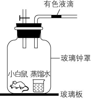 试题资源网 https://stzy.com