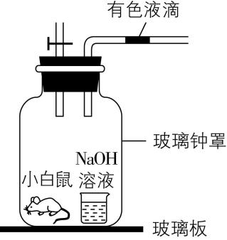 试题资源网 https://stzy.com