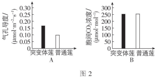 试题资源网 https://stzy.com