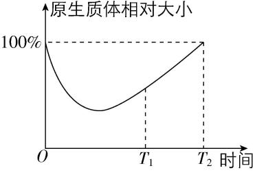 试题资源网 https://stzy.com