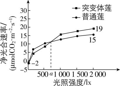 试题资源网 https://stzy.com