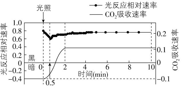 试题资源网 https://stzy.com