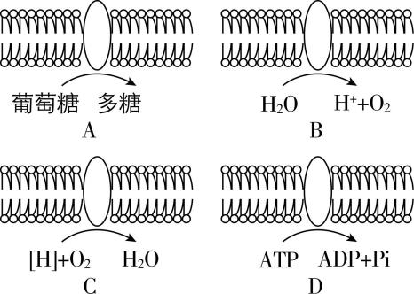 试题资源网 https://stzy.com