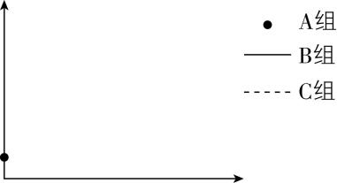试题资源网 https://stzy.com