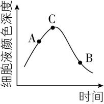 试题资源网 https://stzy.com