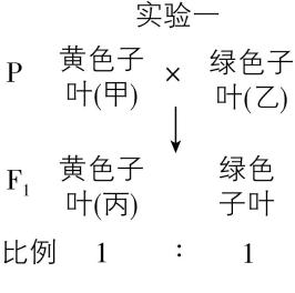 试题资源网 https://stzy.com