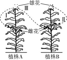 试题资源网 https://stzy.com
