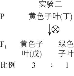 试题资源网 https://stzy.com