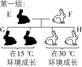 试题资源网 https://stzy.com