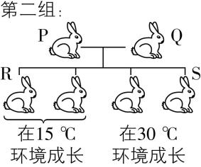 试题资源网 https://stzy.com