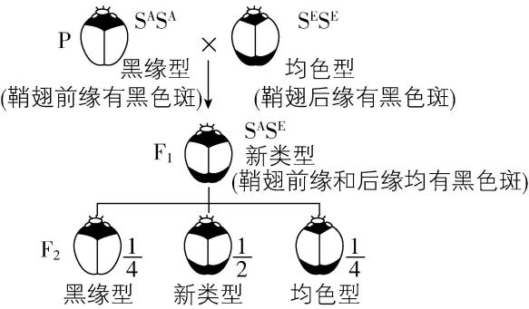 试题资源网 https://stzy.com