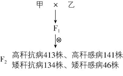 试题资源网 https://stzy.com