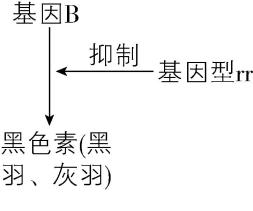 试题资源网 https://stzy.com